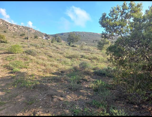 400M² VACANT LAND FOR SALE IN STEENBERGS COVE